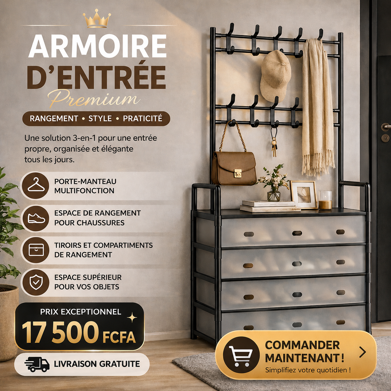 Armoire d’Entrée Premium