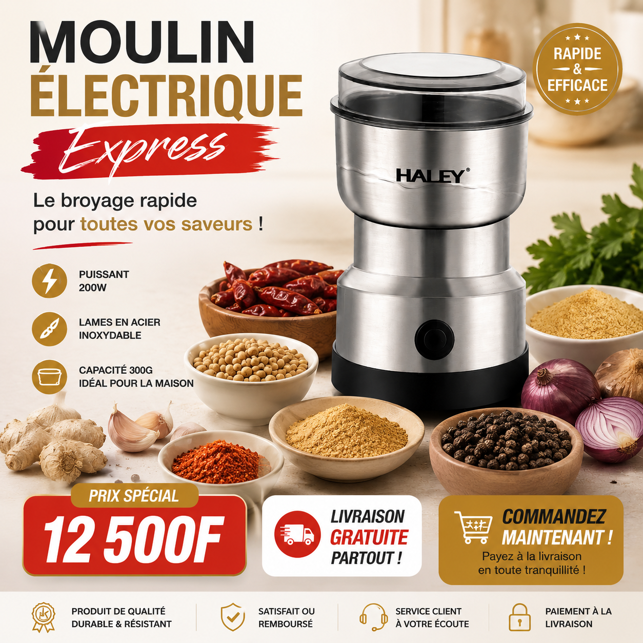 Moulin Électrique Express